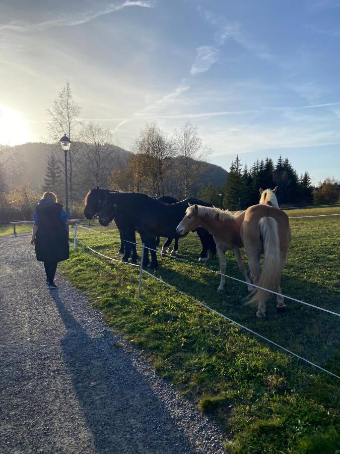 Fewo Sonnenschein Weissbriach Exterior foto